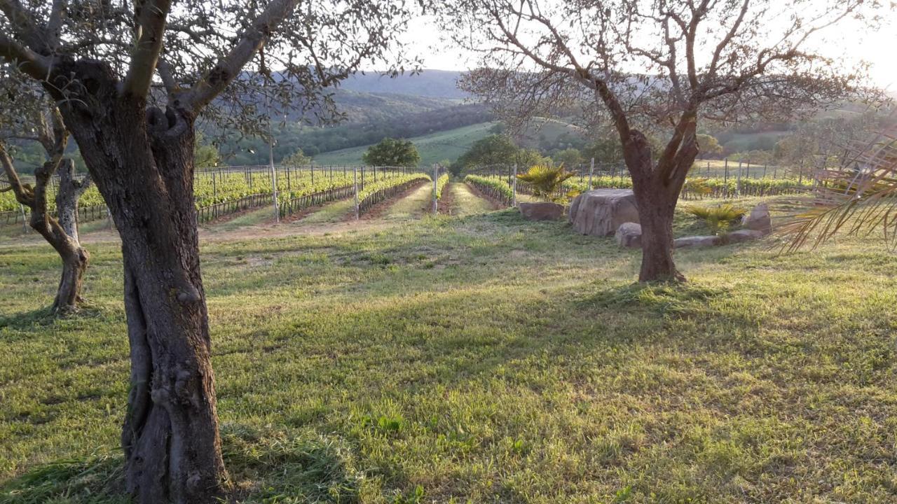 Podere Belvedere Villa Classic Tuscan Magliano in Toscana Exterior photo