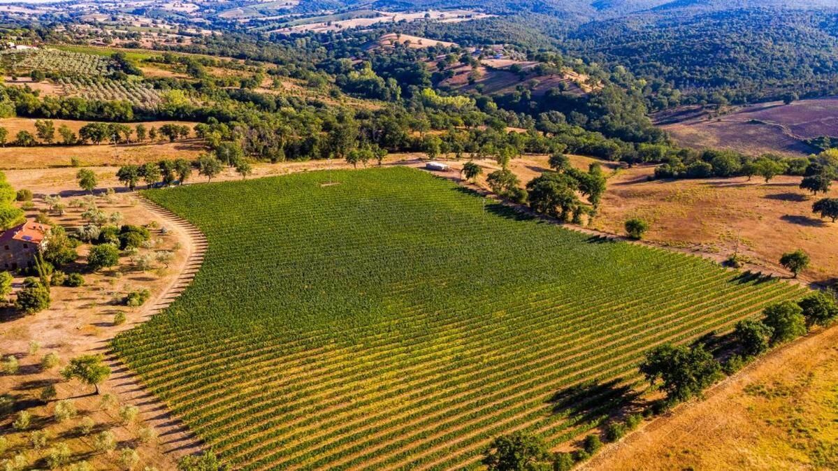 Podere Belvedere Villa Classic Tuscan Magliano in Toscana Exterior photo